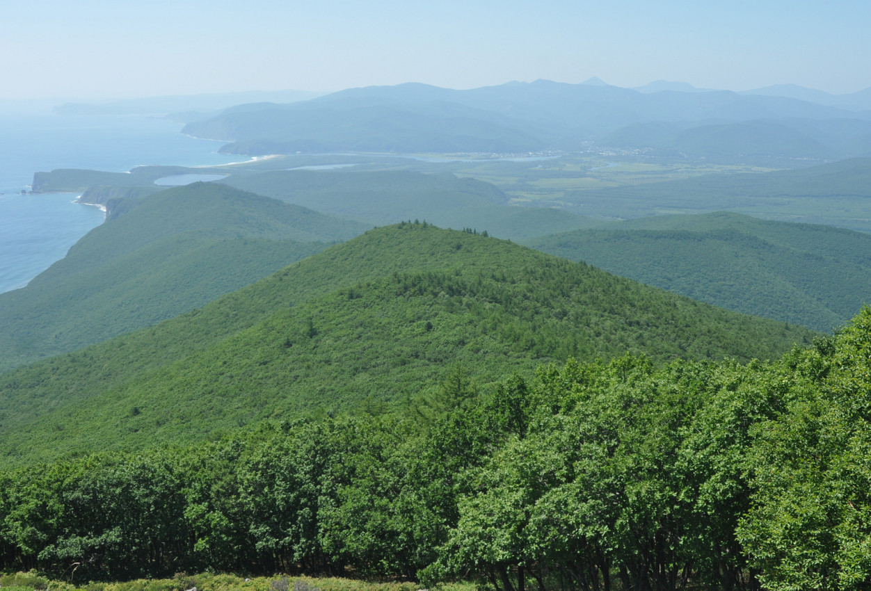 Гора Абрек, image of landscape/habitat.