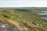 Image of landscape