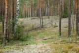 Image of landscape