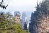 Image of landscape