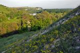 Image of landscape