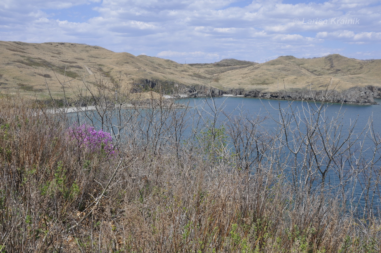 Полуостров Брюса, image of landscape/habitat.