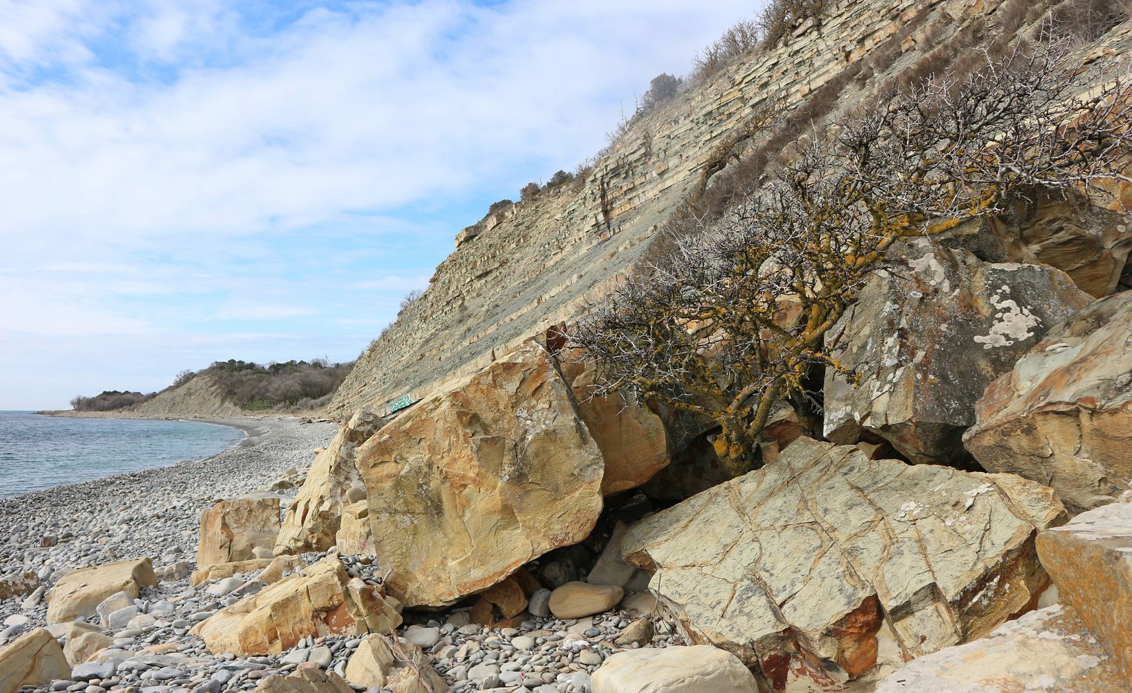 Утришская прибрежная гора, image of landscape/habitat.