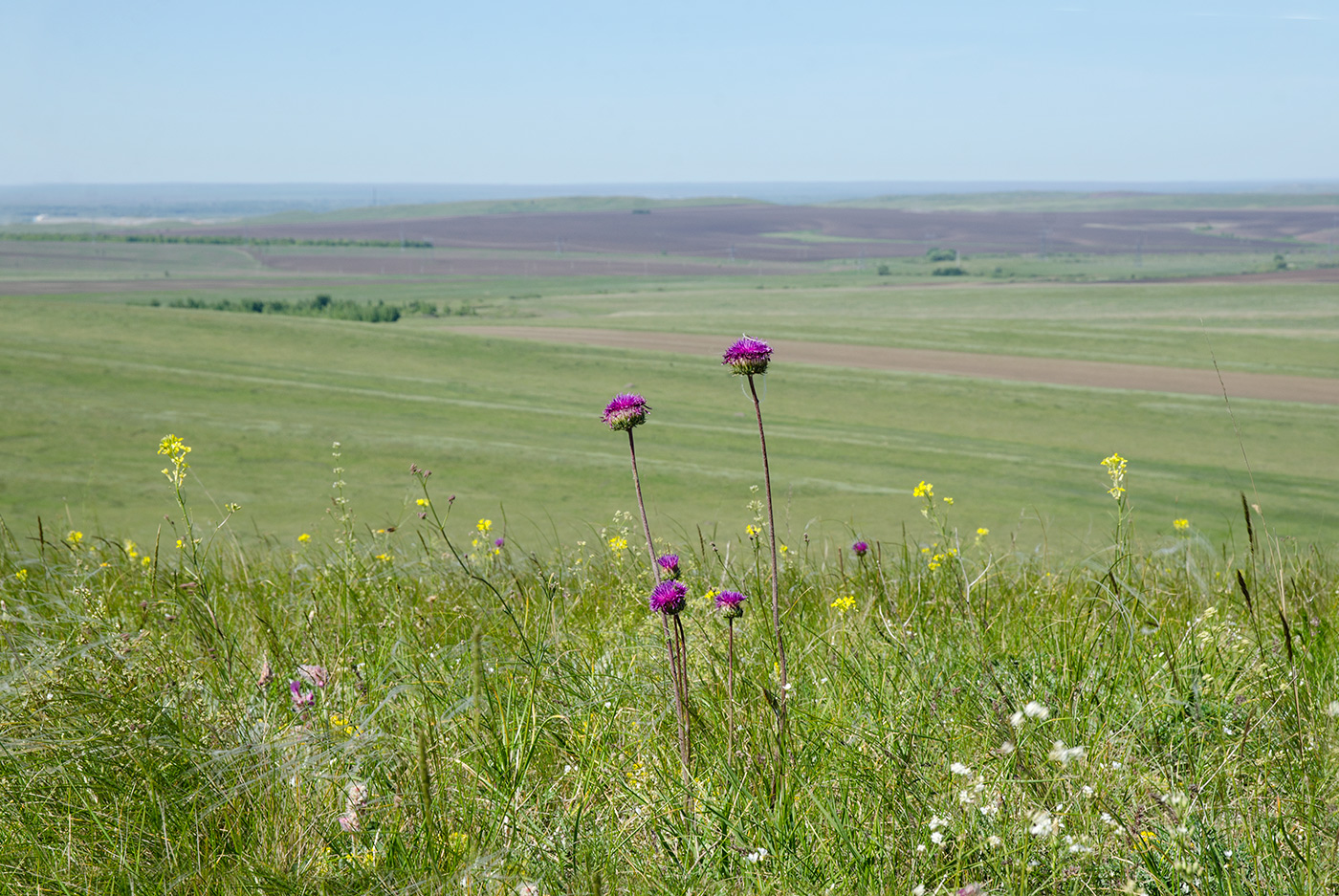 Ногайские горы, image of landscape/habitat.