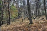 Свято-Михайловский монастырь, image of landscape/habitat.
