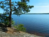 Image of landscape