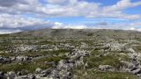 Image of landscape