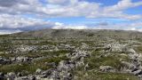 Сосьвинский хребет, image of landscape/habitat.