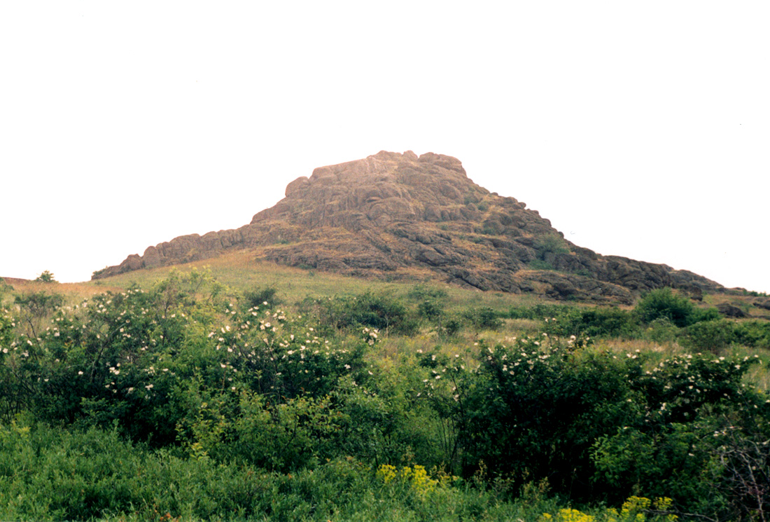 Заповедник "Каменные Могилы", image of landscape/habitat.