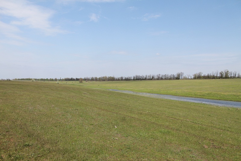 Отрог балки Широкой, image of landscape/habitat.