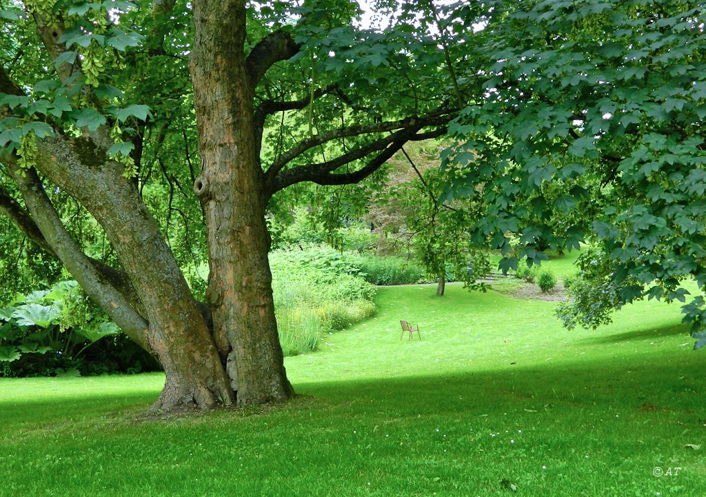 Дортмунд, image of landscape/habitat.