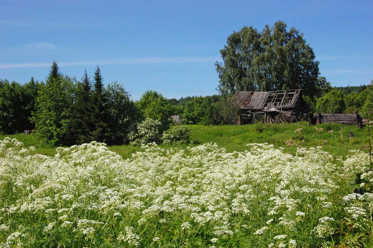 База и окрестности, image of landscape/habitat.