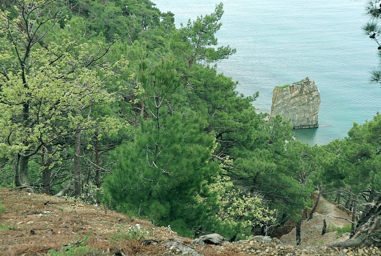 Побережье Джанхот-Прасковеевка, image of landscape/habitat.