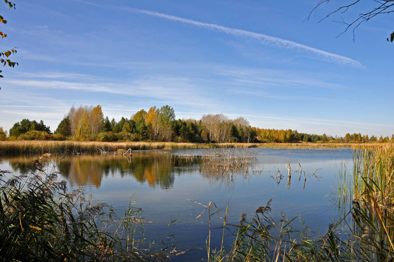 Окрестности села Люторичи, image of landscape/habitat.