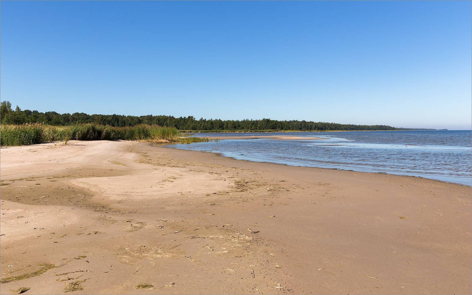 Окрестности деревни Выбье, image of landscape/habitat.