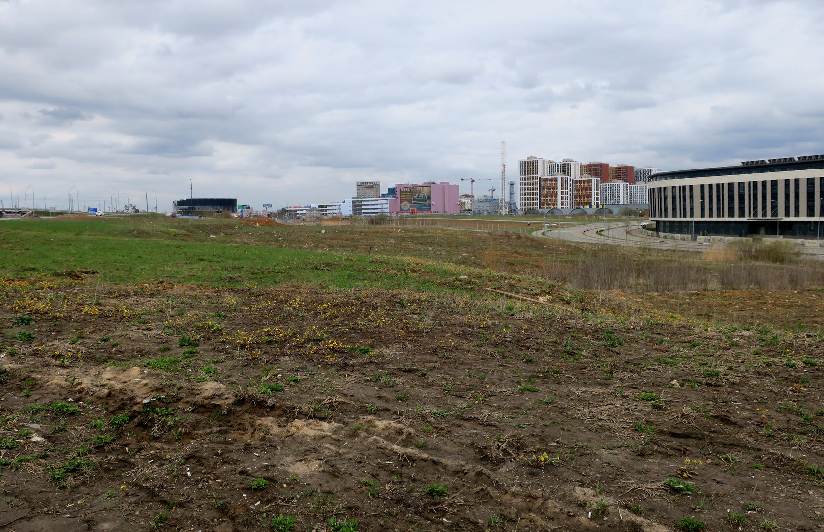 Сколково, image of landscape/habitat.