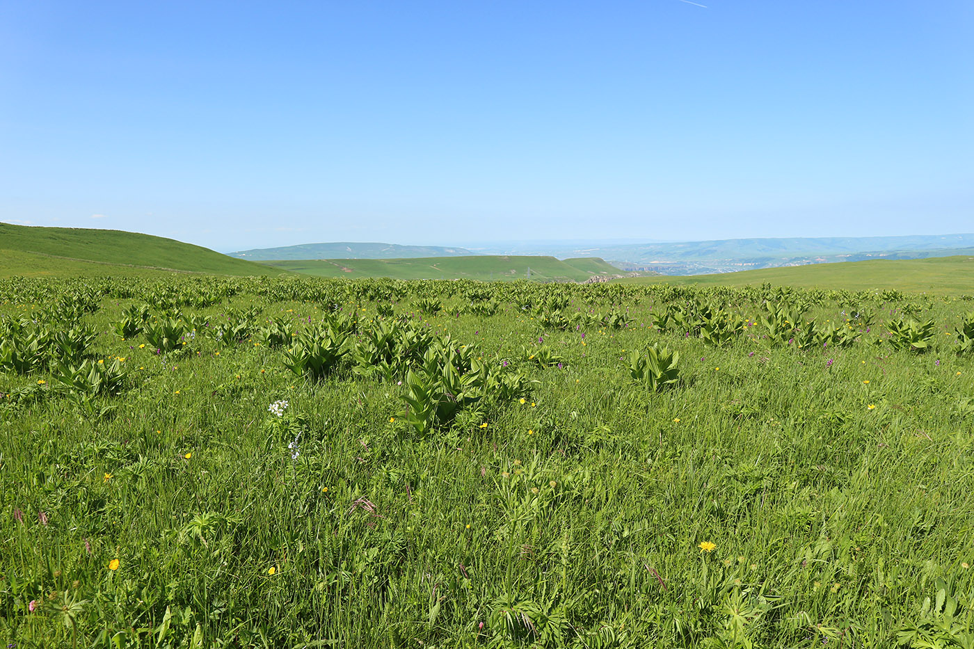 Скала Джегута, image of landscape/habitat.