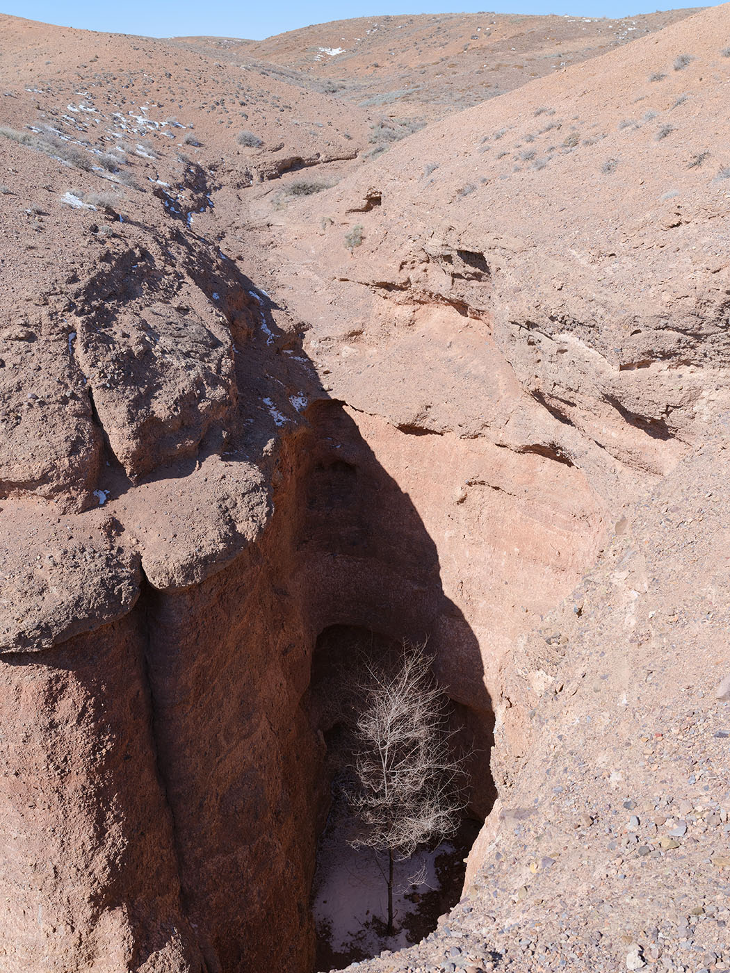 Чарын, image of landscape/habitat.