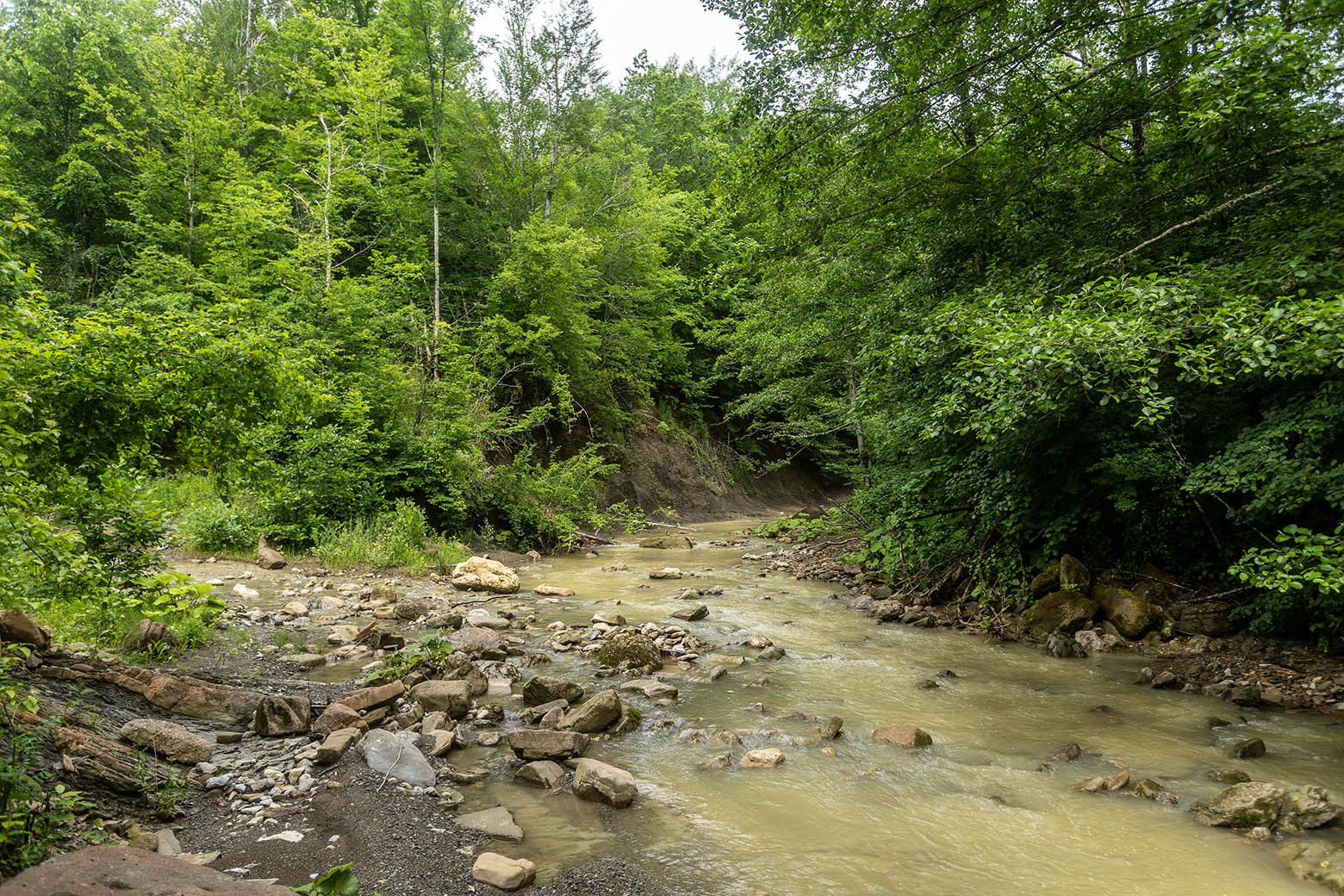 Долина реки Гунайка, image of landscape/habitat.