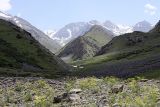 Image of landscape
