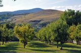 Окрестности деревни Кремна, image of landscape/habitat.