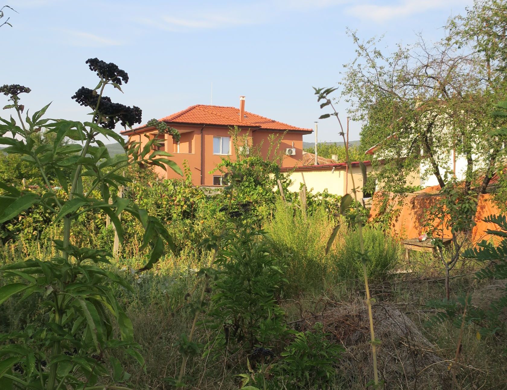 Оризаре, image of landscape/habitat.