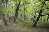 Лдзаа, image of landscape/habitat.