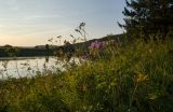 Лобач и окрестности, image of landscape/habitat.