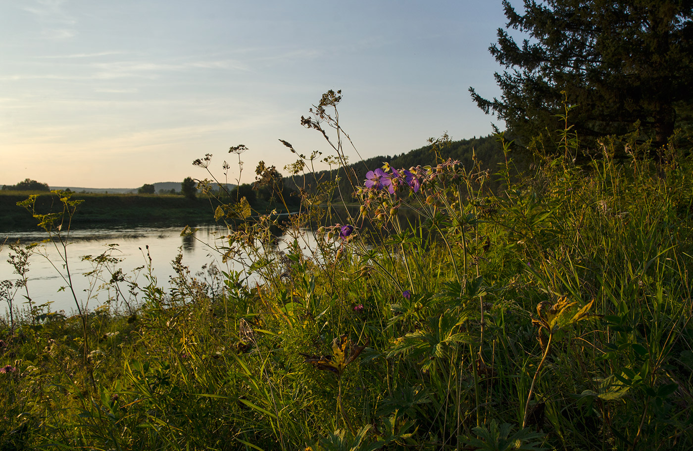 Лобач и окрестности, image of landscape/habitat.