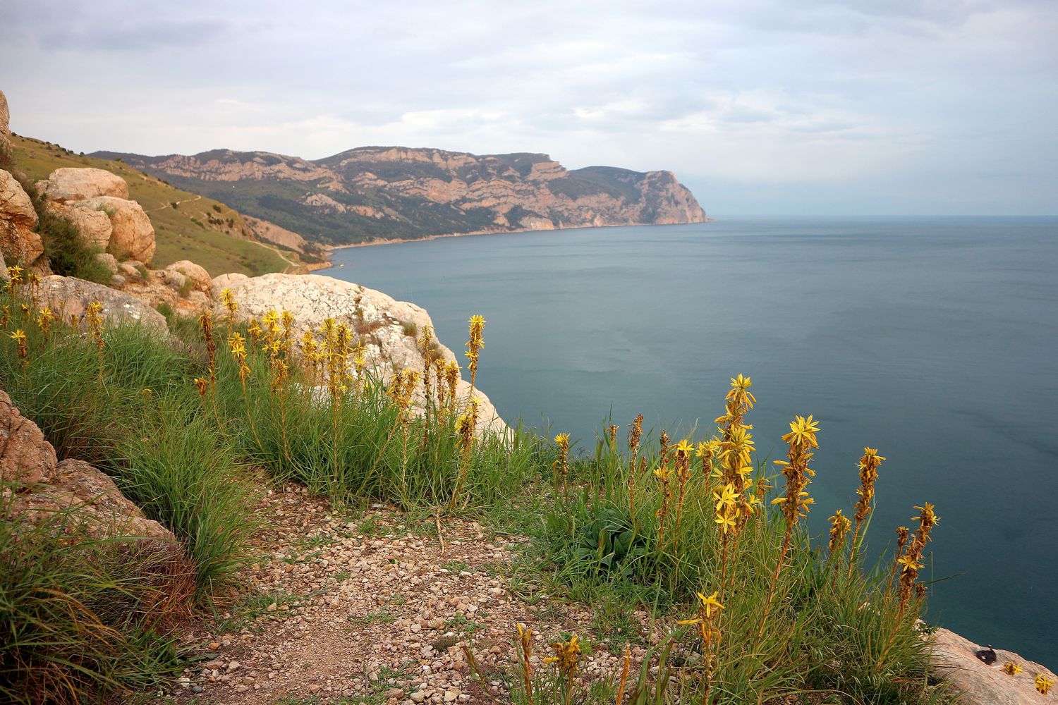 Балаклавские высоты, image of landscape/habitat.