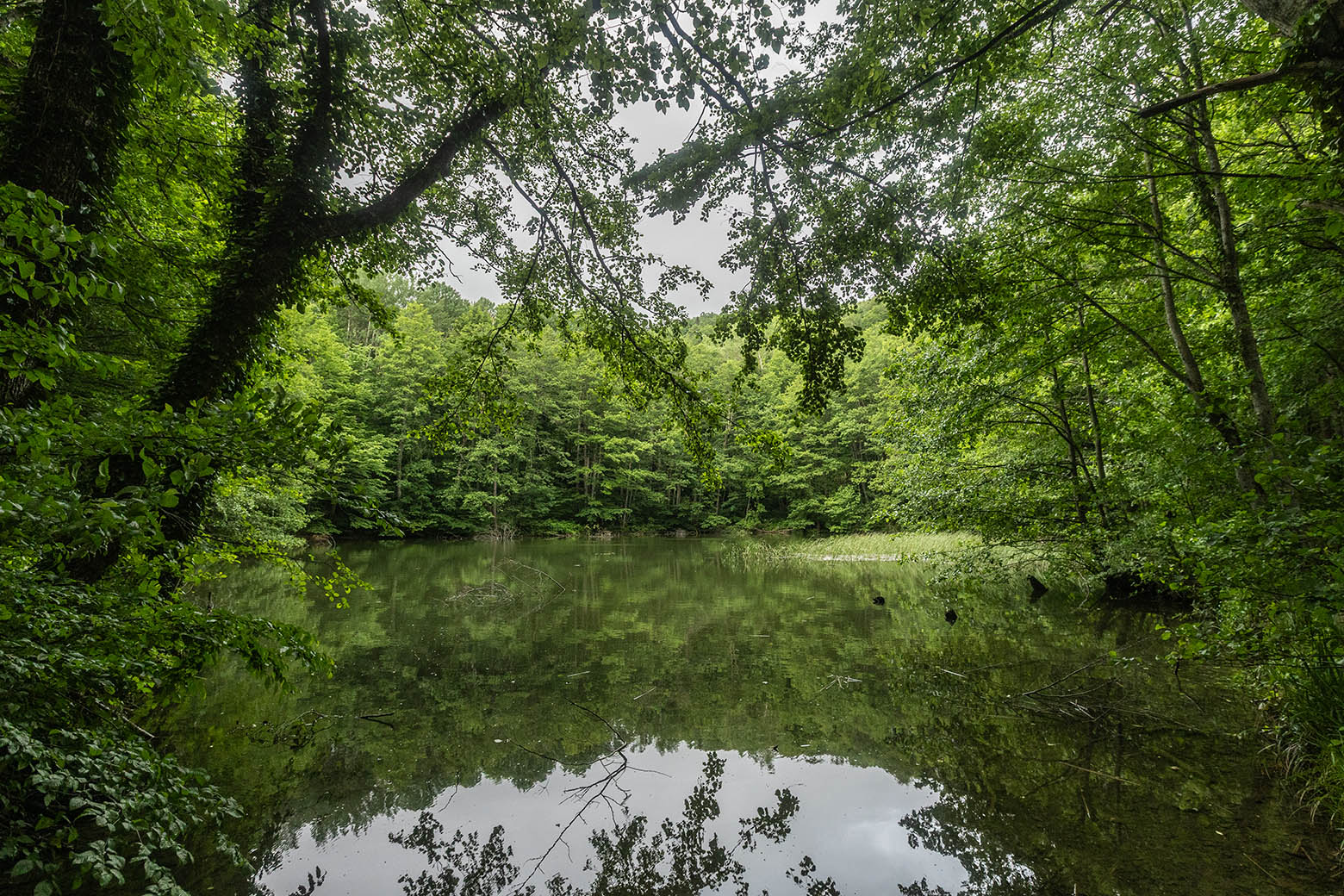 Долина реки Хадажка, image of landscape/habitat.