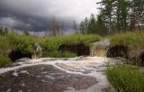 Окрестности Северного, image of landscape/habitat.