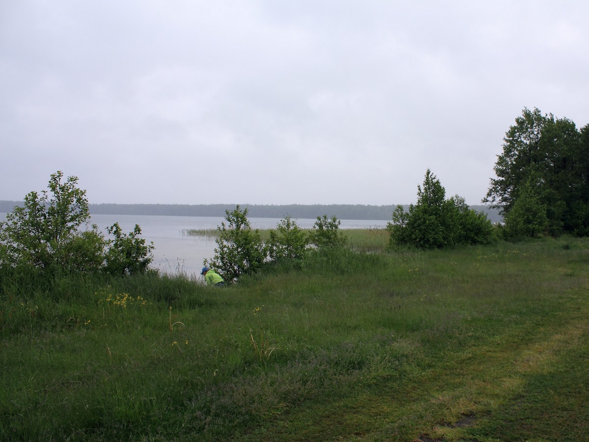 Сурмино, image of landscape/habitat.