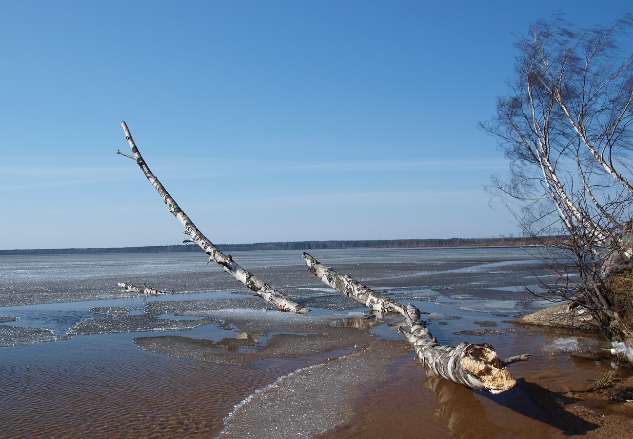 Кавголовское озеро, image of landscape/habitat.