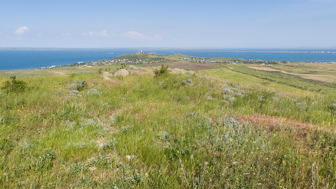 Каменоломня на Хрони, image of landscape/habitat.