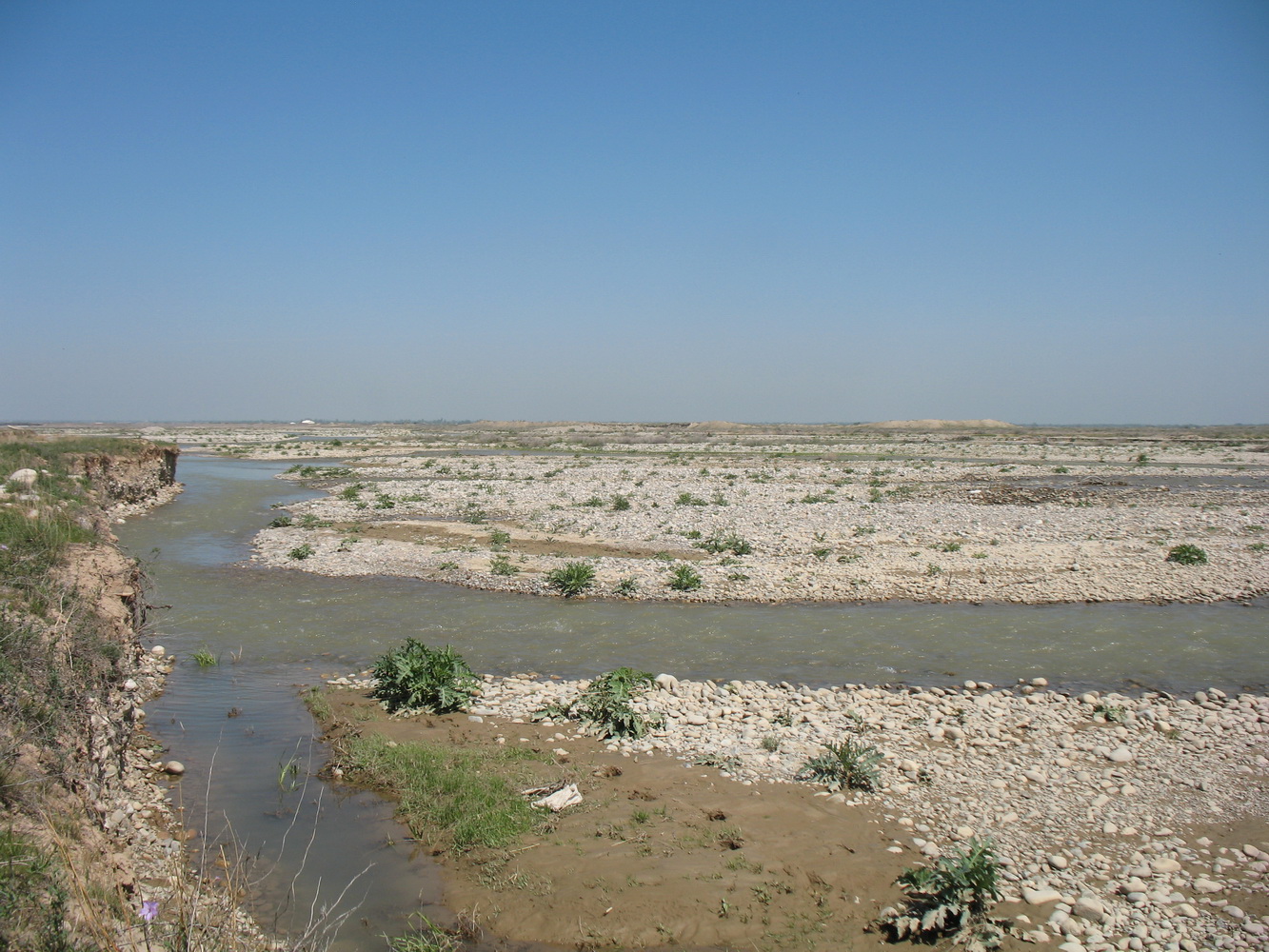 Асса, image of landscape/habitat.