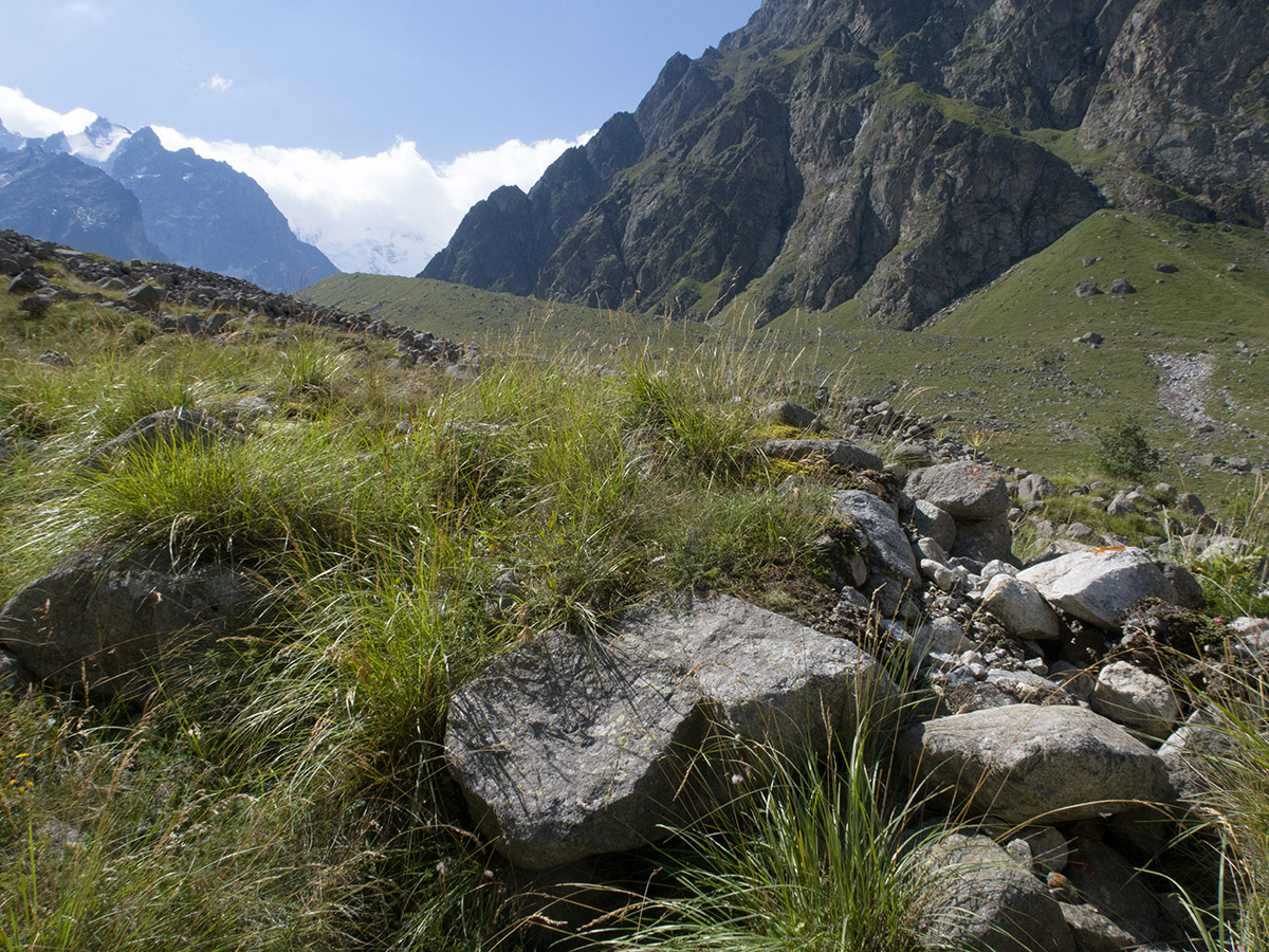 Мижирги, image of landscape/habitat.