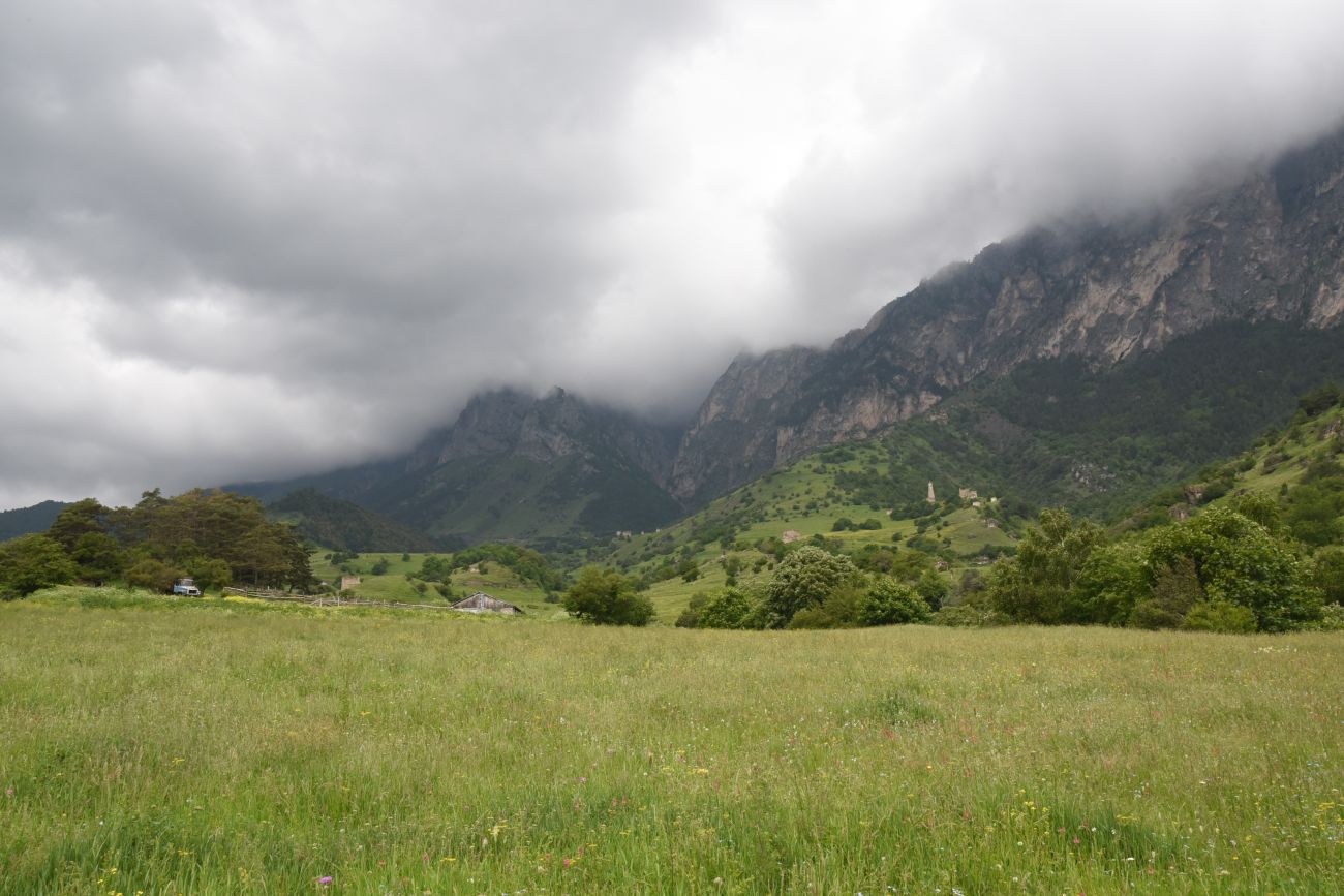 Озиг и окрестности, image of landscape/habitat.