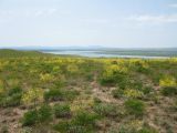 Терс-Ащибулак, image of landscape/habitat.