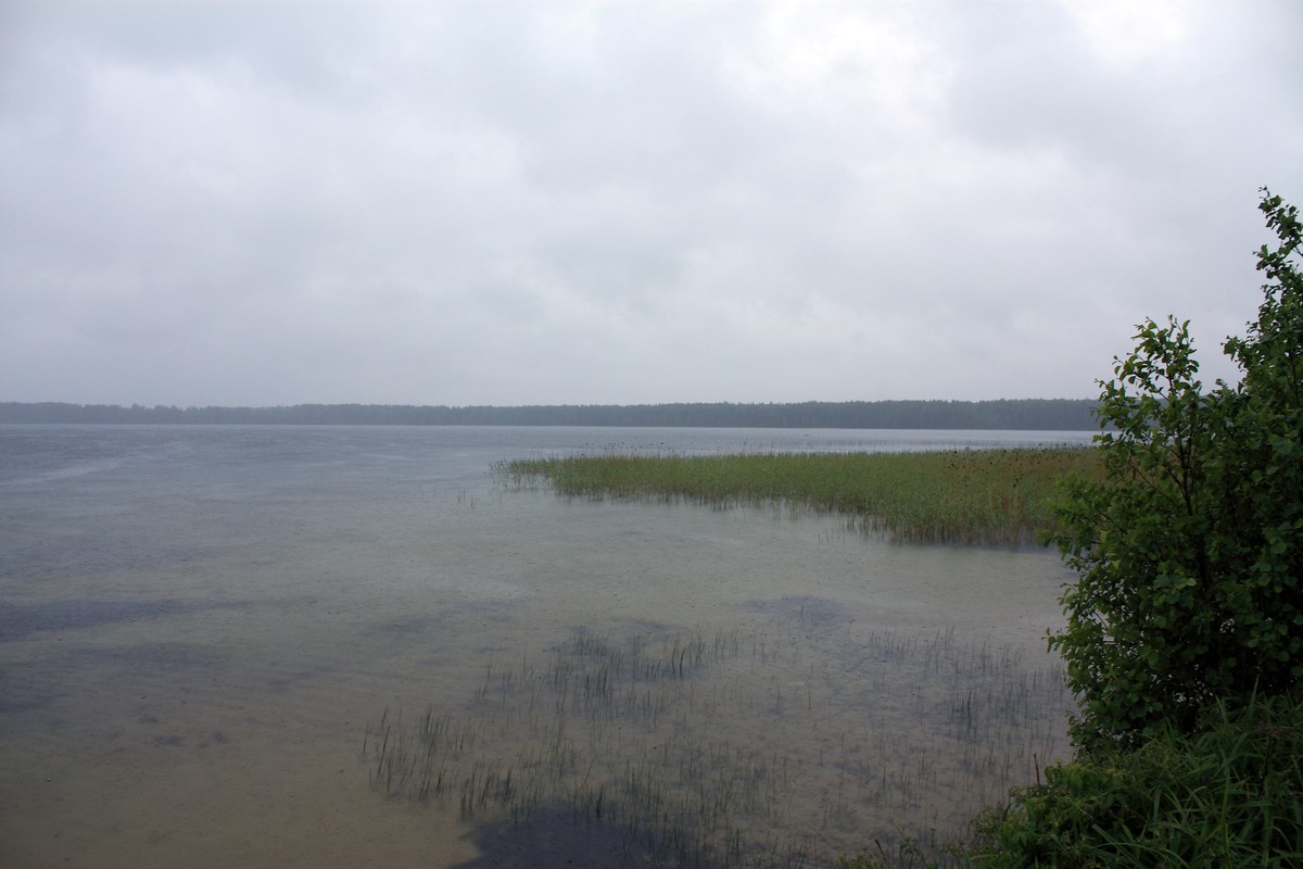 Сурмино, image of landscape/habitat.