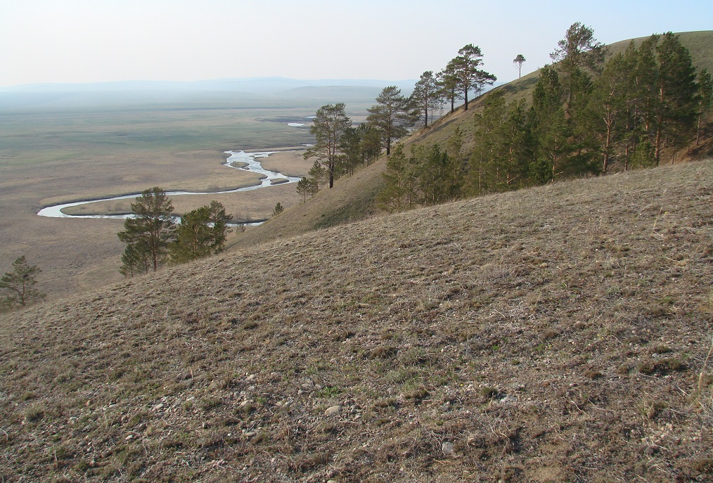 Долина реки Куда, image of landscape/habitat.