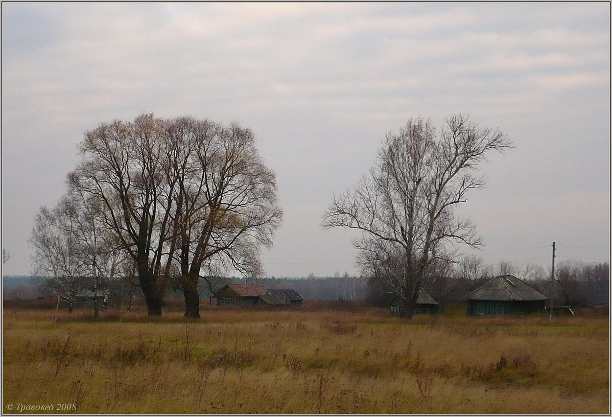 Старая Пьяна, image of landscape/habitat.