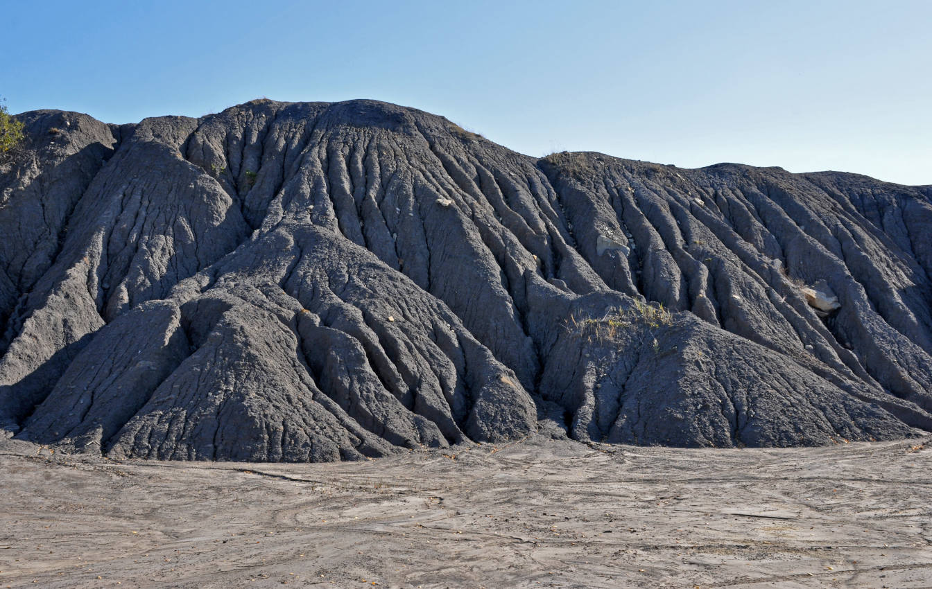 Окрестности села Люторичи, image of landscape/habitat.