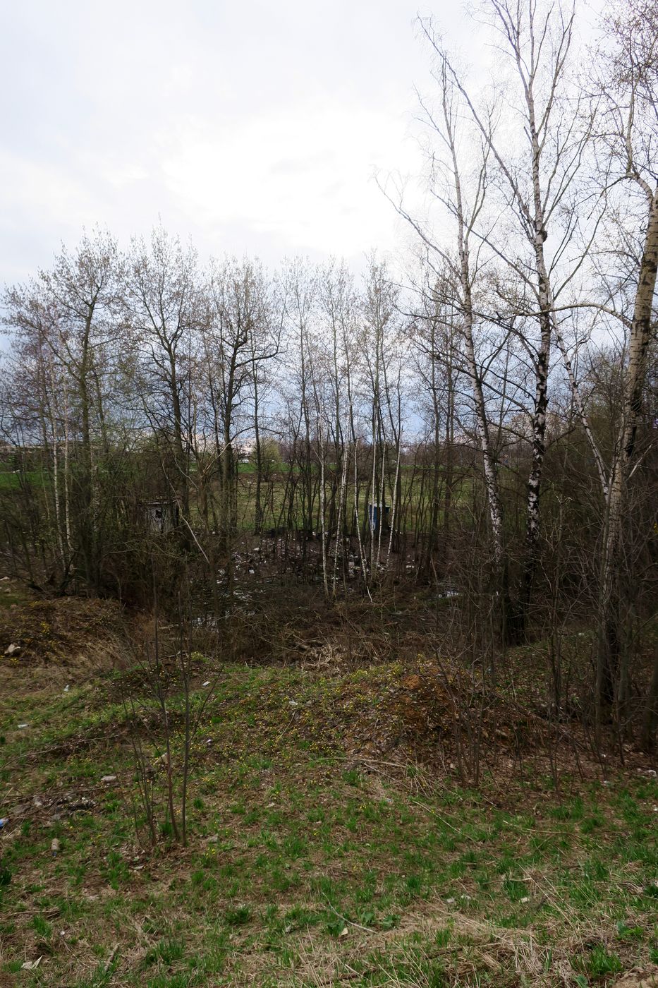 Сколково, image of landscape/habitat.