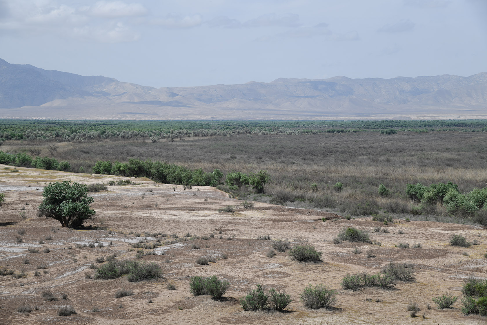 "Королевская дача", image of landscape/habitat.