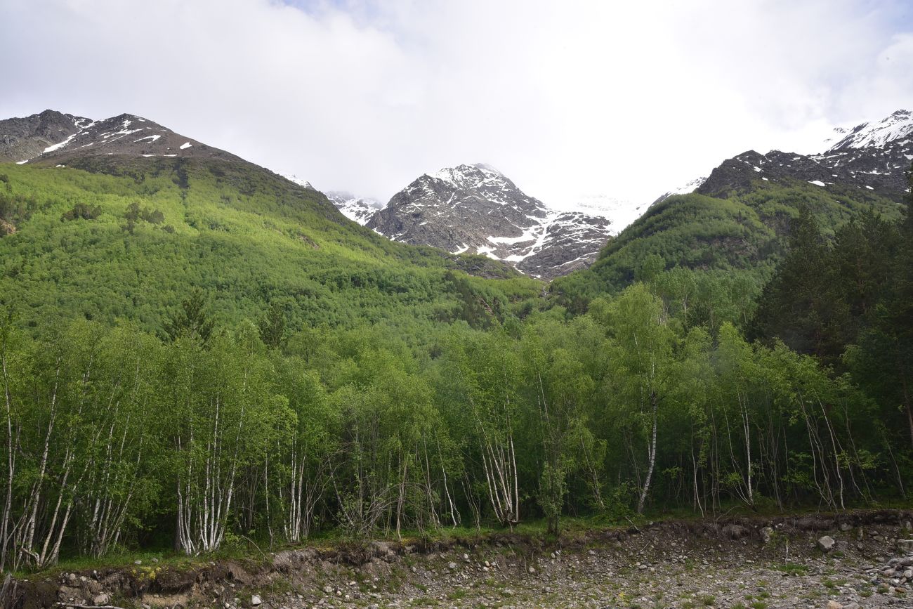 Долина реки Донгуз-Орун, image of landscape/habitat.