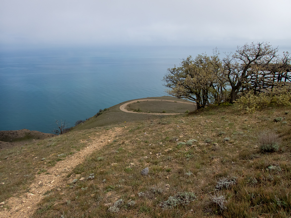 Меганом, изображение ландшафта.