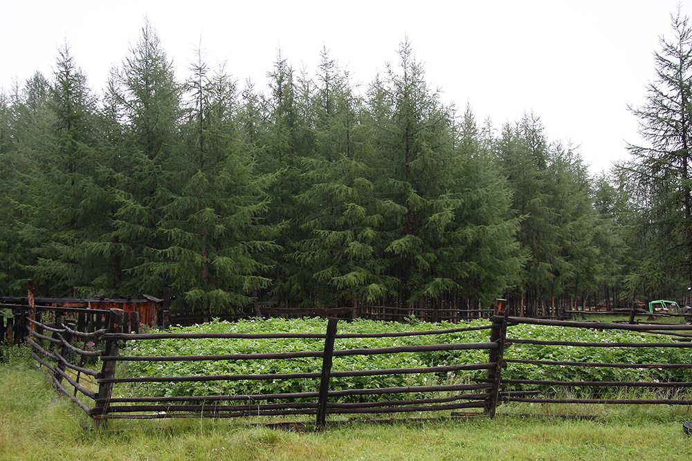 Окрестности Северного, image of landscape/habitat.