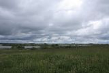 Image of landscape