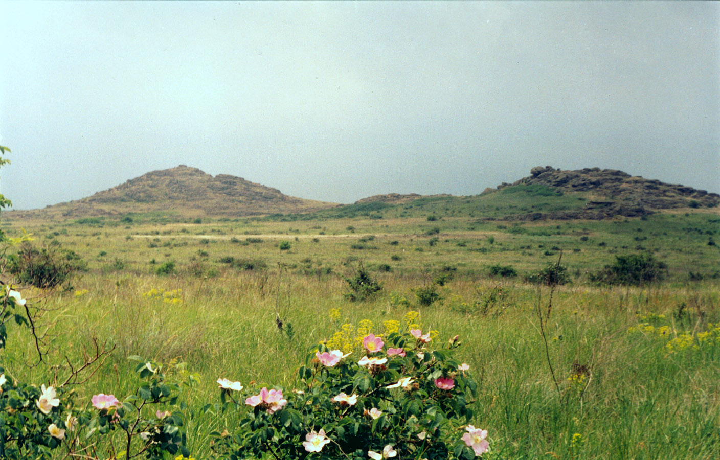 Заповедник "Каменные Могилы", изображение ландшафта.